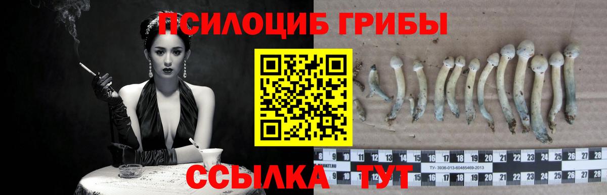 Галлюциногенные грибы MAGIC MUSHROOMS Выборг